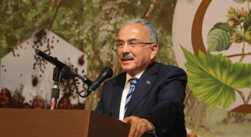 FINDIK HASADI TÖRENLE BAŞLAYACAK