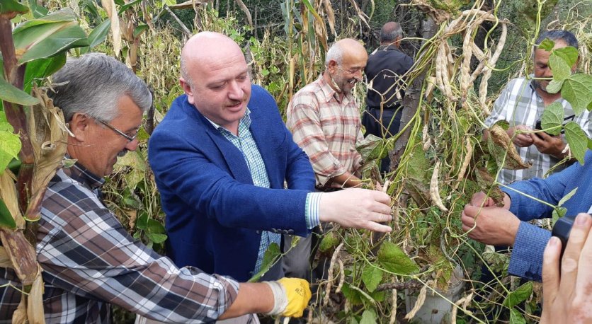 Gündoğdu Akkuş Fasulyesi İçin Hayati Önemi Arz Eden Su Problemi Çözülüyor