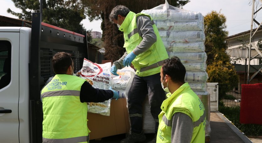 SOKAK HAYVANLARI UNUTULMUYOR