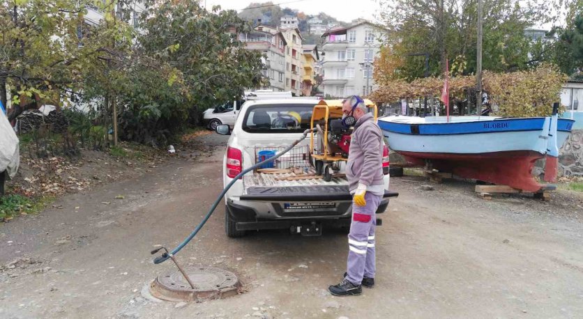 19 İLÇEDE HAŞERELERLE SIKI MÜCADELE