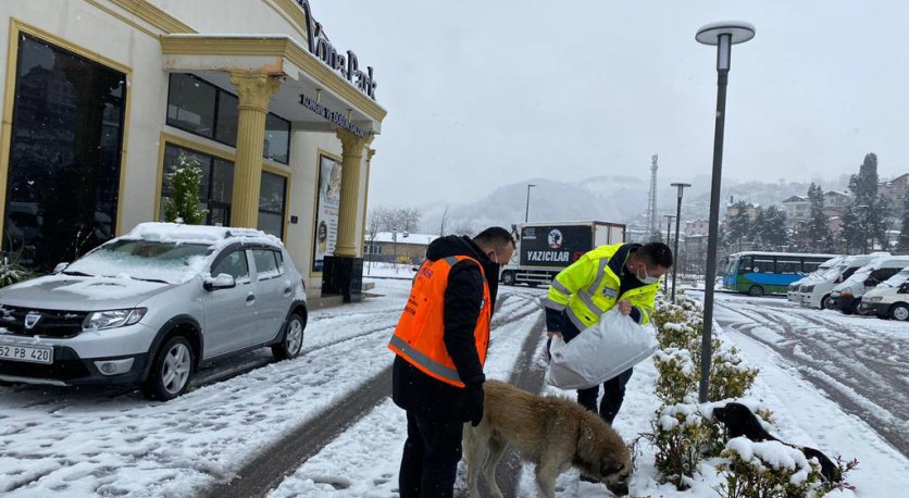 BÜYÜKŞEHİR PATİLİ DOSTLARI YALNIZ BIRAKMADI