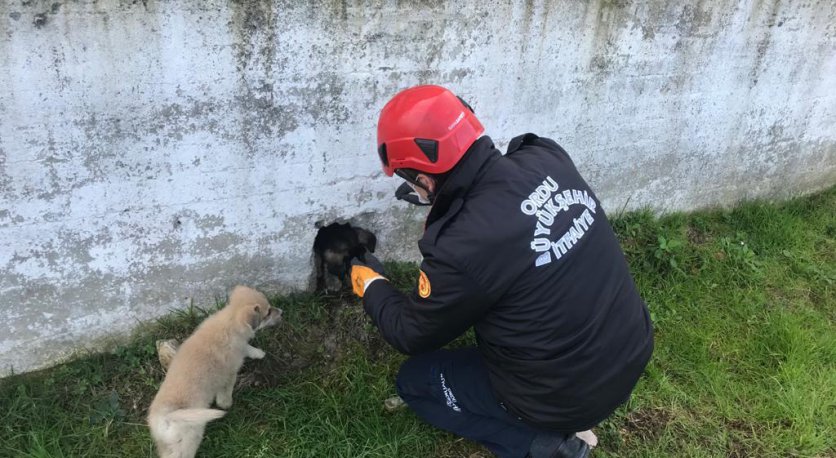 İTFAİYE YAVRU KÖPEK İÇİN SEFERBER OLDU