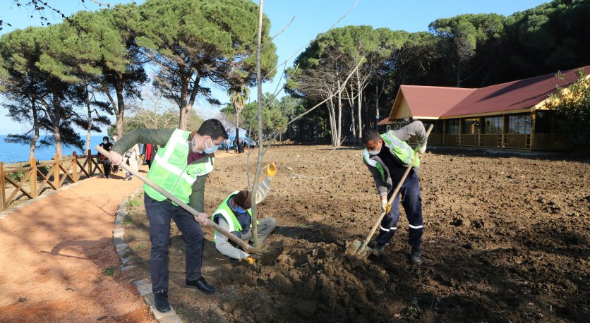 ÜNYE ÇAMLIKTA CAZİBE ARTIYOR