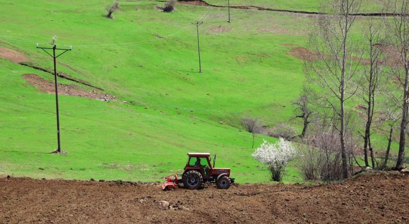 ORDUNUN ATIL ARAZİLERİ YENİDEN TARIMLA BULUŞTU