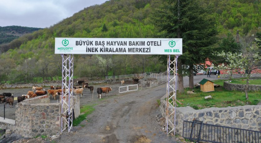 “HAYVAN OTELİ” YENİ SEZONA HAZIRLANIYOR