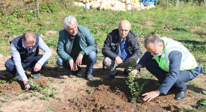 ORDU BÜYÜKŞEHİRLE ÜRETİYOR