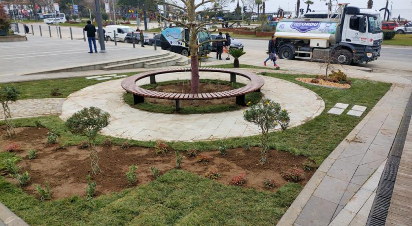 FATSA MEYDANI YEŞİLLENDİ 
