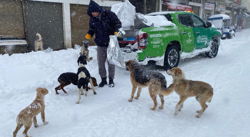 OLUMSUZ HAVA KOŞULLARINDAN ETKİLENEN CANLAR UNUTULMADI