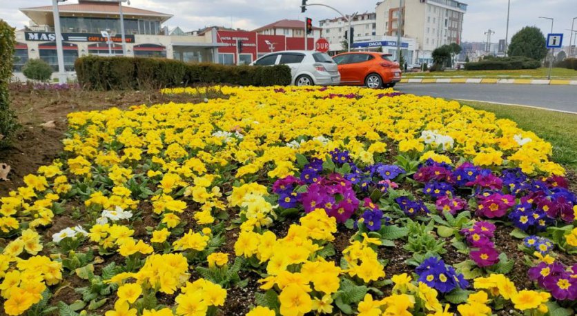 ORDU, ÇİÇEKLERLE SÜSLENDİ