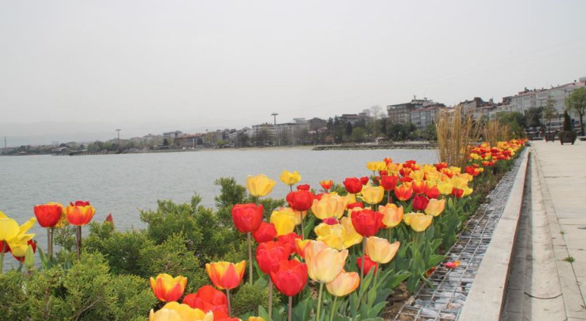 ORDU´NUN GÜZELLİĞİNE GÜZELLİK KATAN ÇALIŞMA 