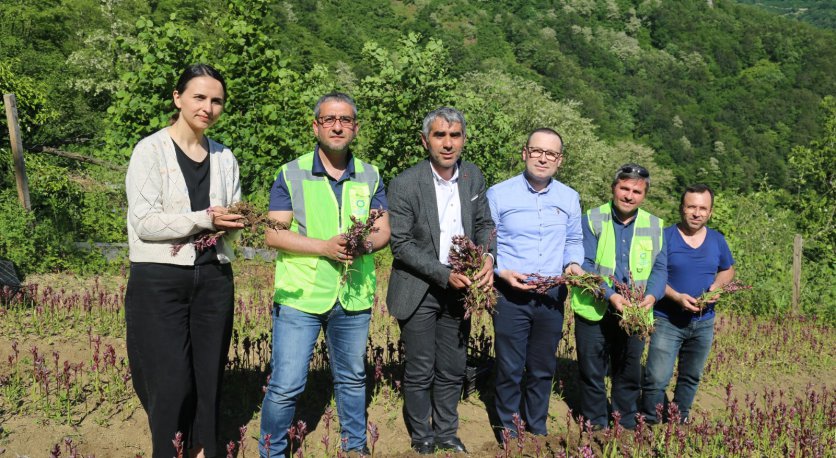 BAŞKAN GÜLERİN PROJELERİ MEYVELERİNİ VERMEYE DEVAM DİYOR