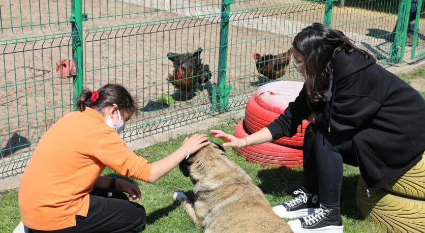 ÖĞRENCİLER CAN DOSTLARLA KEYİFLİ VAKİT GEÇİRDİ 