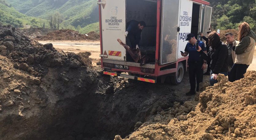 ORDUDA 2 TON KAÇAK VE SAHTE MÜHÜRLÜ ET İMHA EDİLDİ