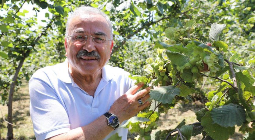 FINDIK VERİMLİLİĞİ (FINVER) PROJESİNDE BÜYÜK BAŞARI