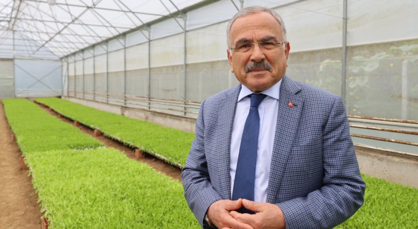ORDU´NUN FİDELERİ BU SERALARDA ÜRETİLİYOR