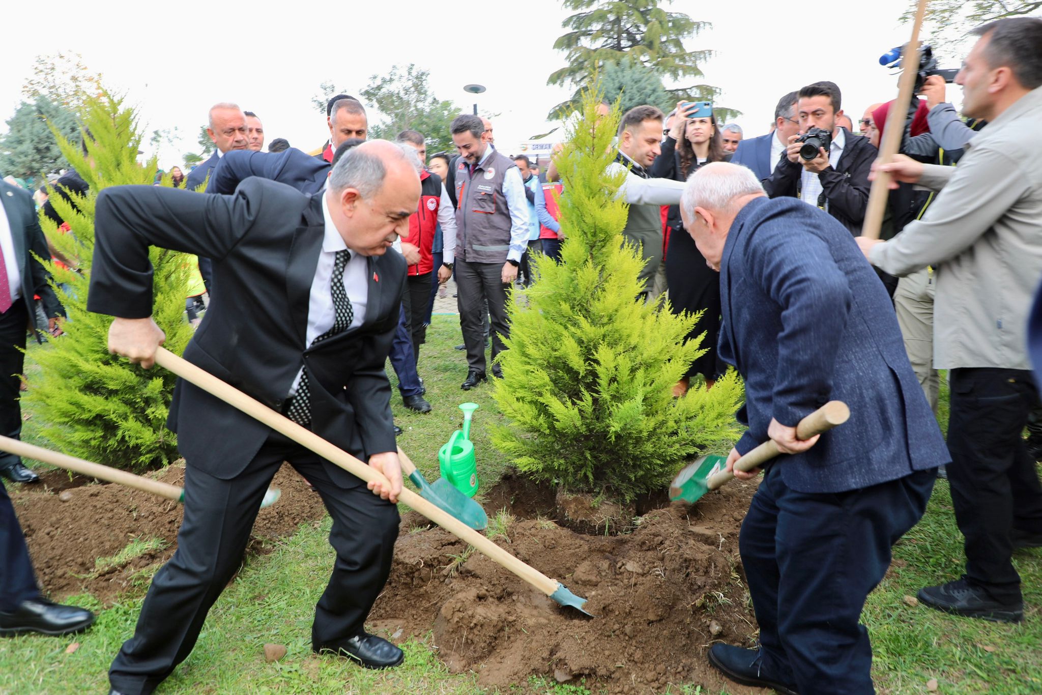 Ordu’da 350 Bin Fidan Toprakla Buluşturulacak 