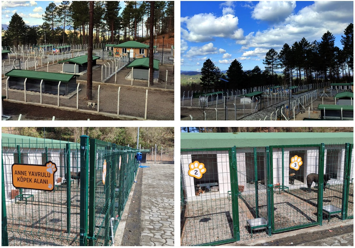 Ünye’de Örnek Barınak ve Doğal Yaşam Alanı Tamamlanma Aşamasına Geldi