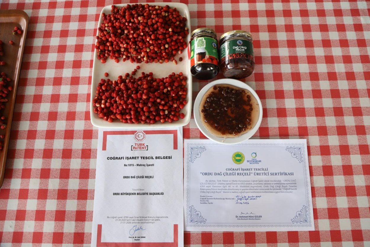 ORDU’NUN LEZZET HAZİNELERİ TESCİLLENİYOR