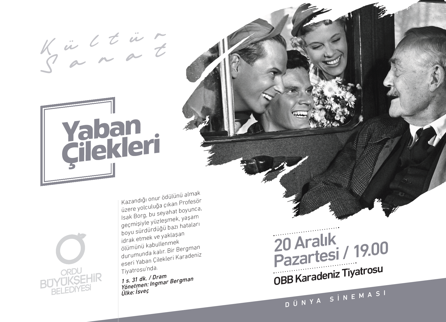 Yaban Çilekleri