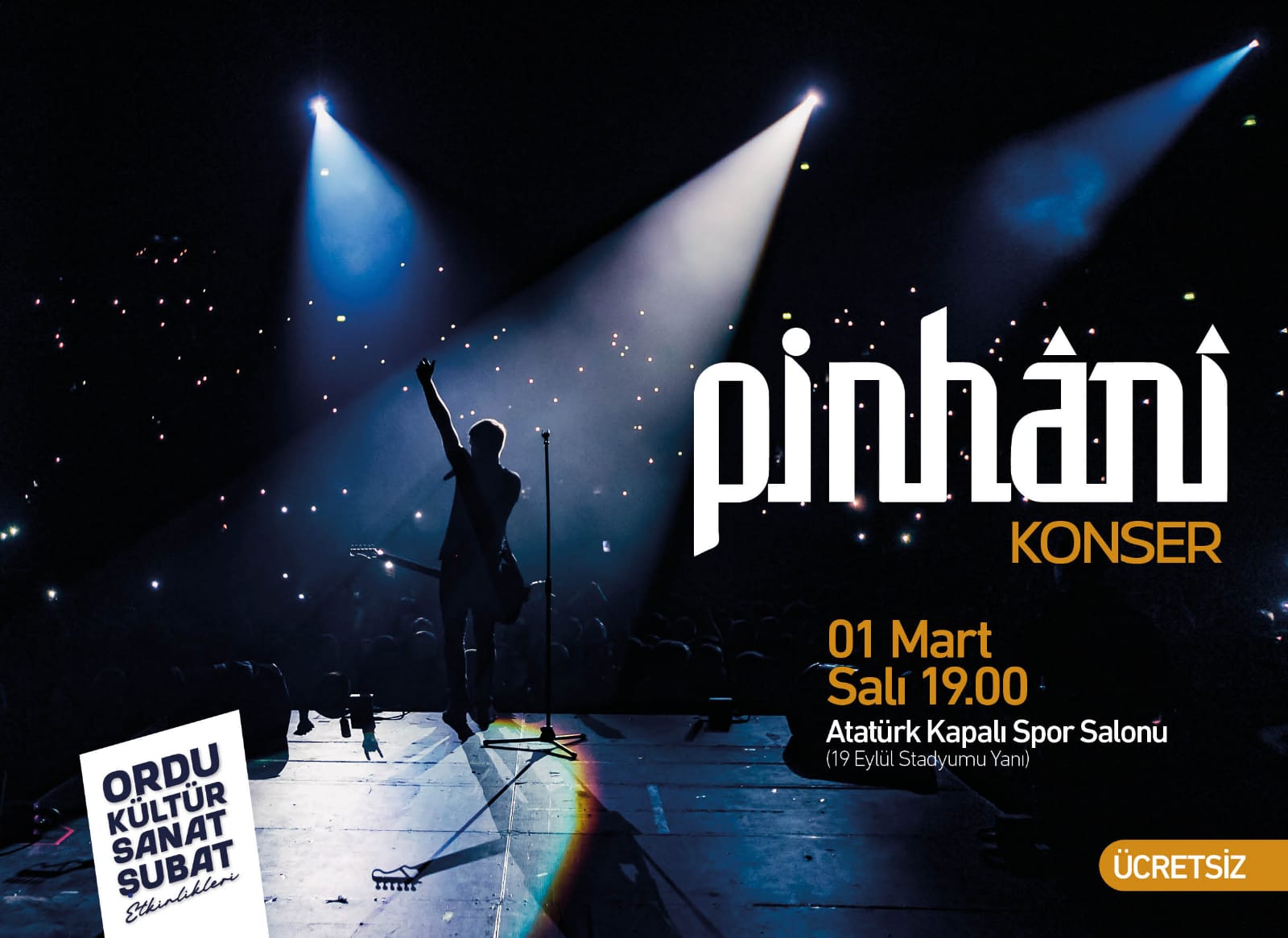 Pinhani Konseri