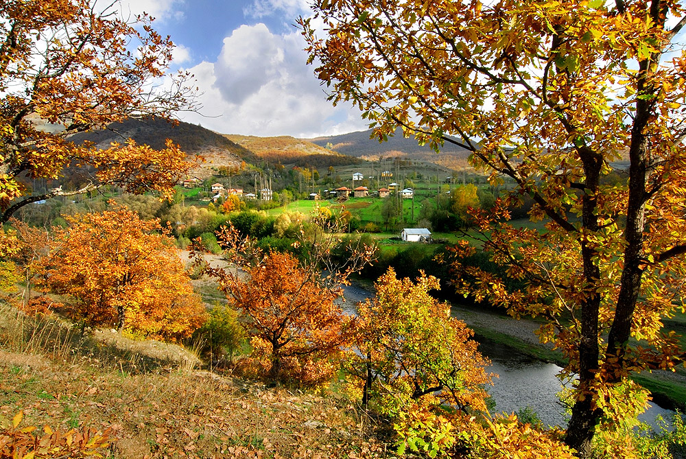 Argın Yaylası